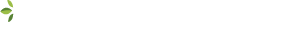 Second Thought Logo